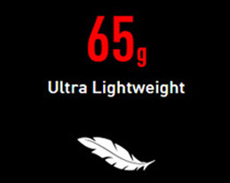 MSI Lightweight Gaming Mouse